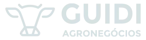 Guidi